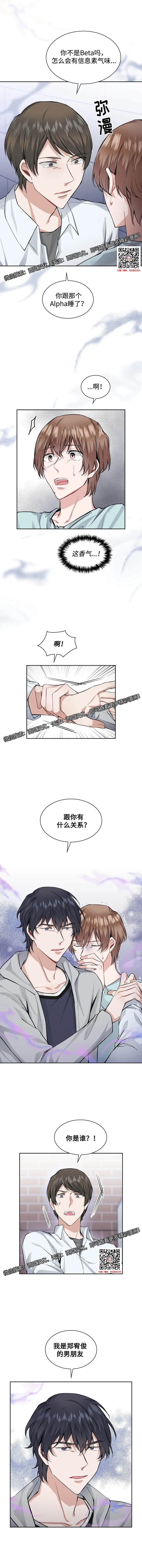 章节图片