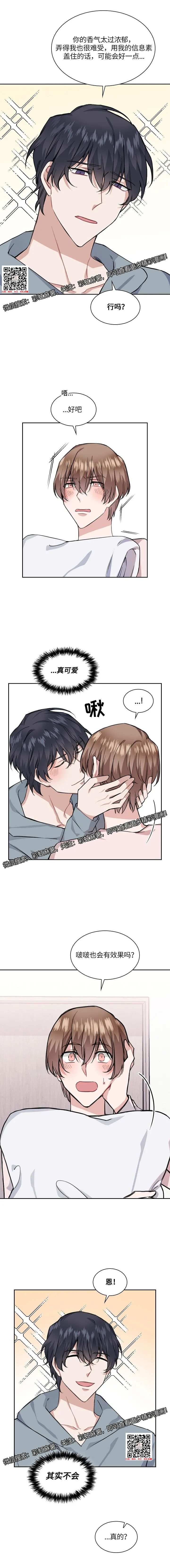 章节图片