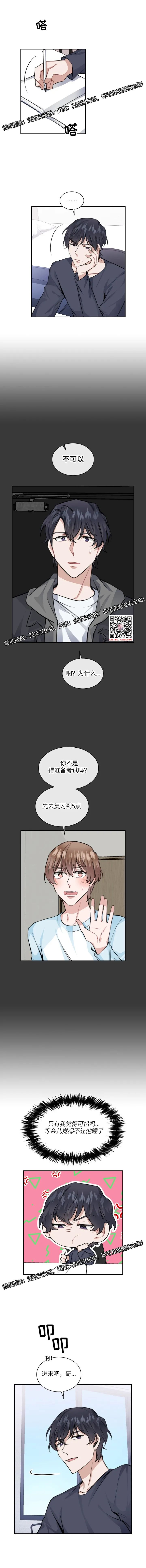 章节图片