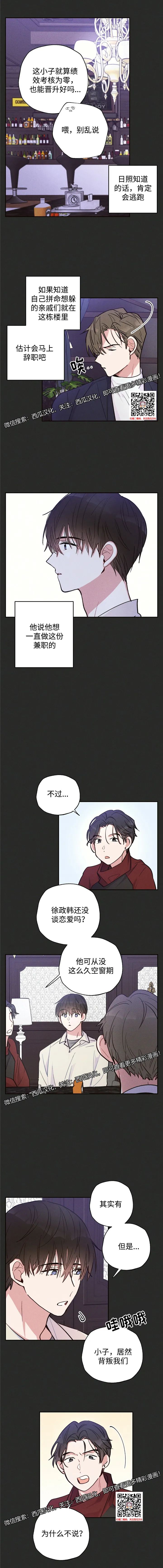 章节图片