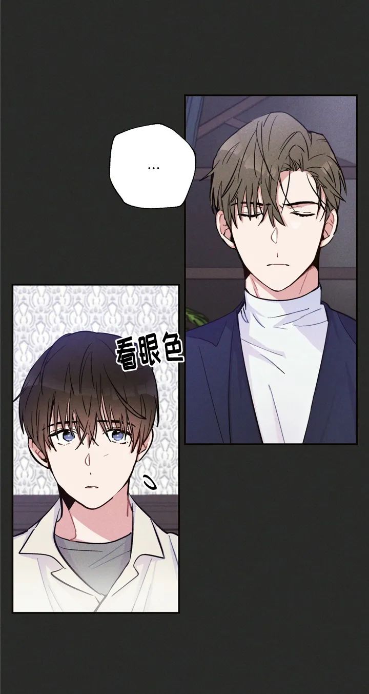 章节图片