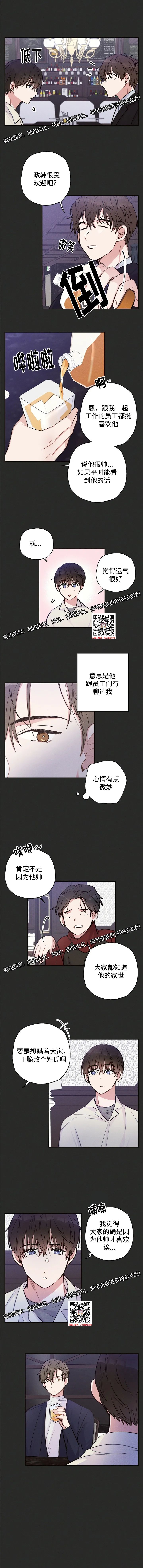 章节图片