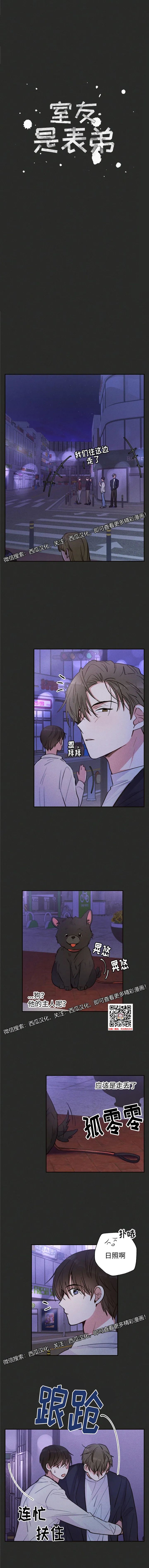章节图片