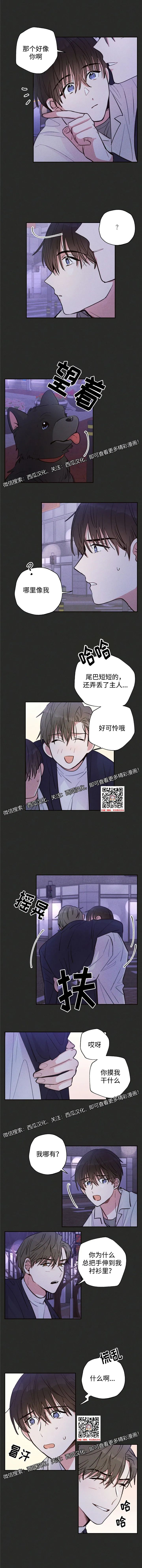 章节图片