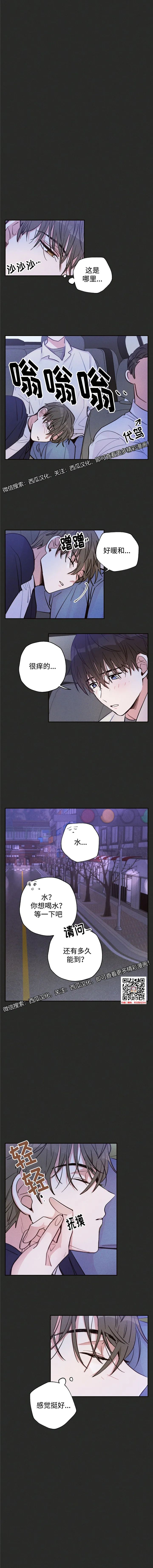 章节图片