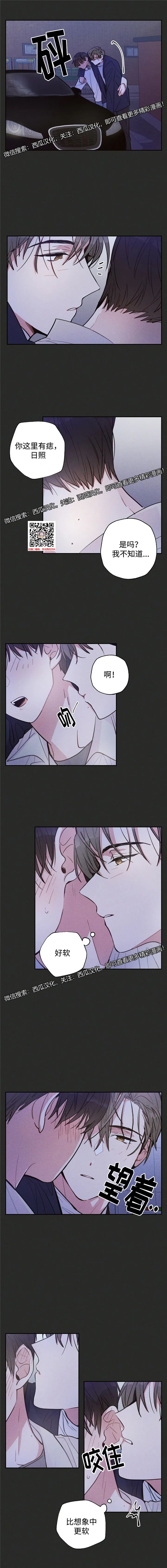 章节图片