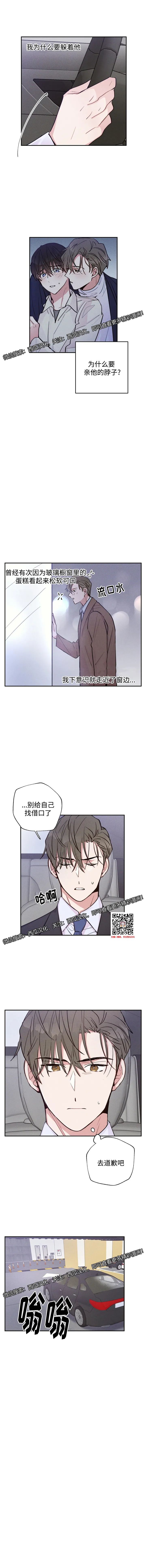 章节图片