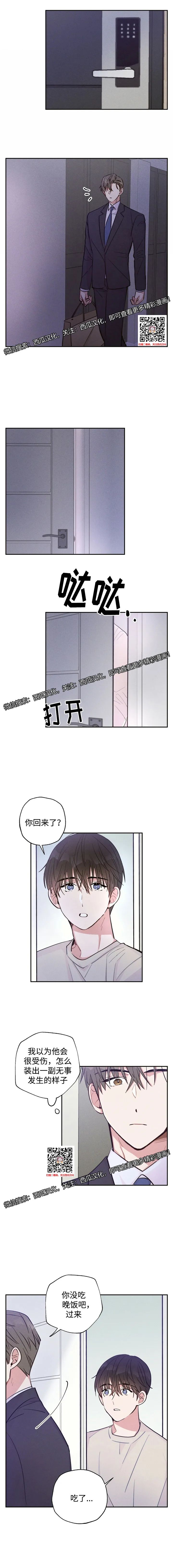章节图片