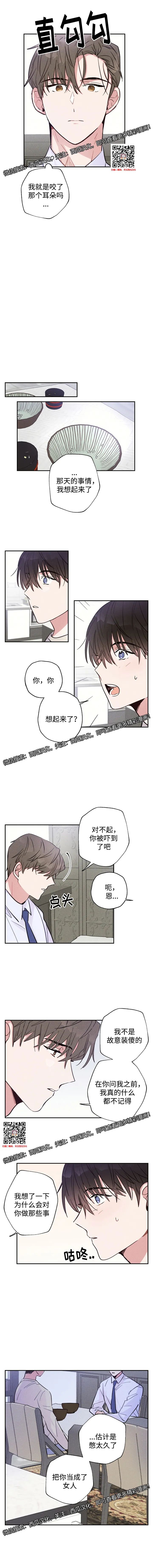章节图片