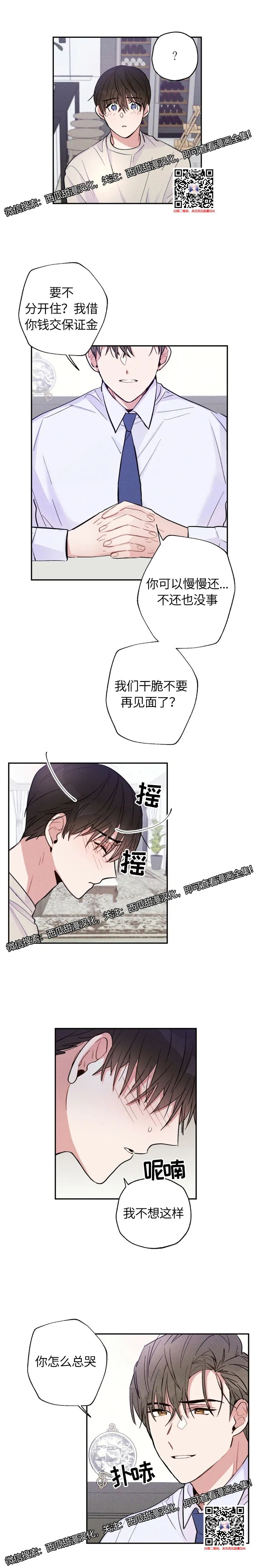 章节图片