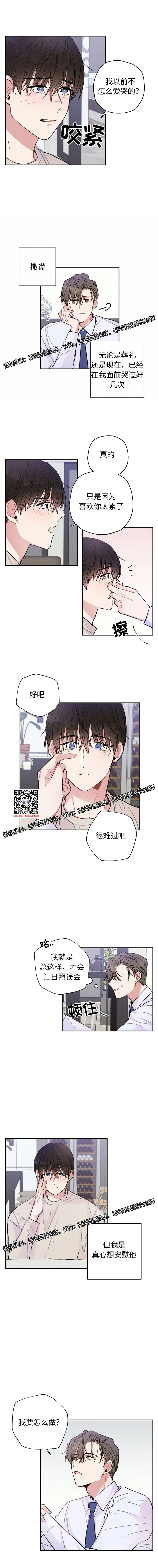 章节图片