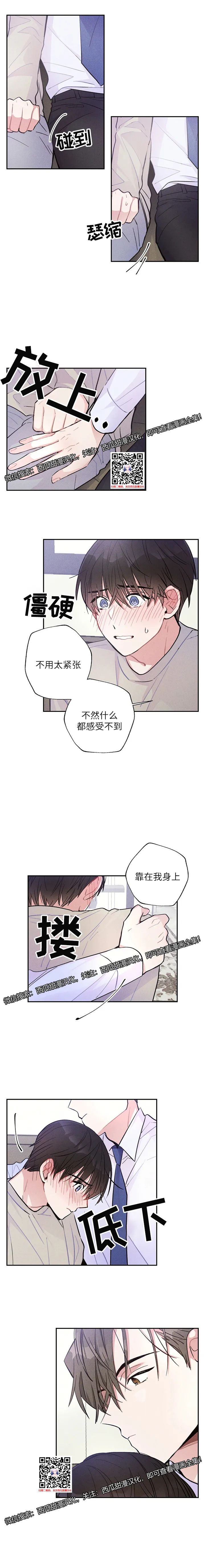 章节图片