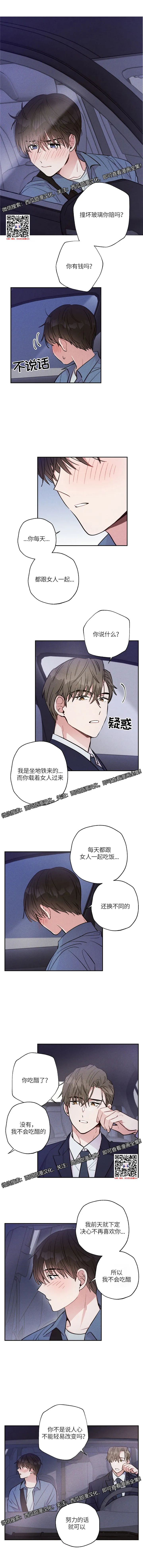 章节图片
