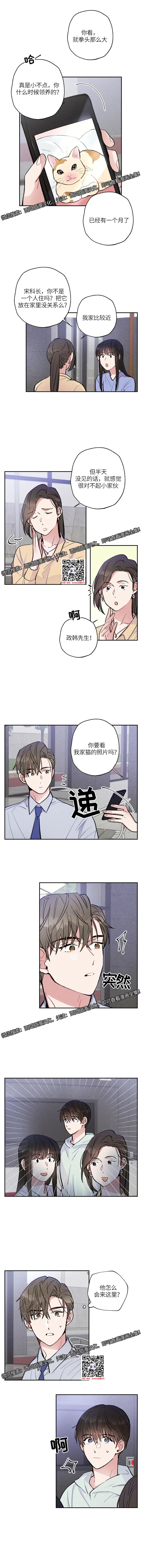 章节图片