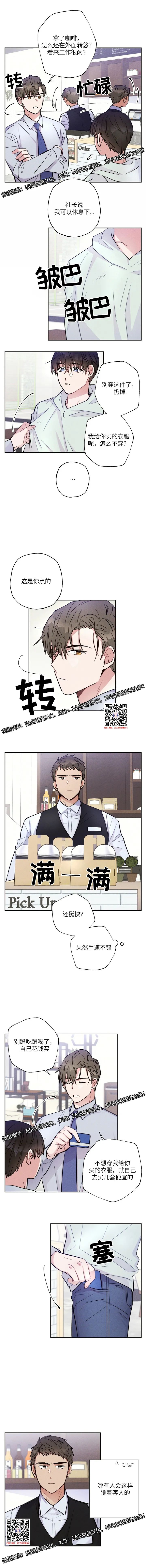 章节图片