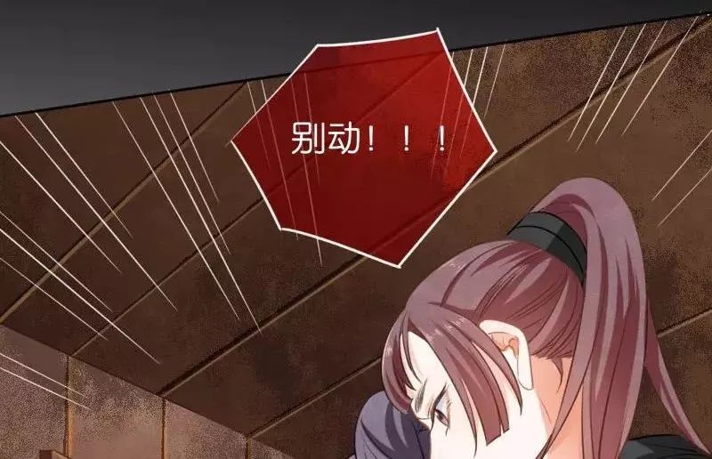 章节图片