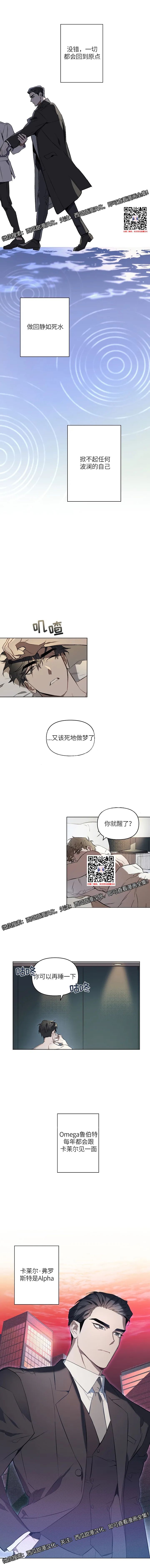 章节图片