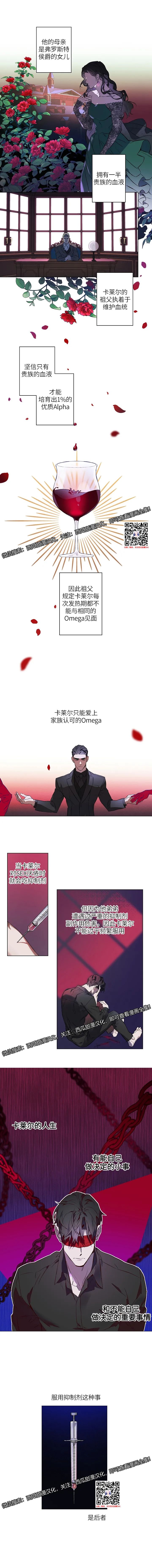 章节图片