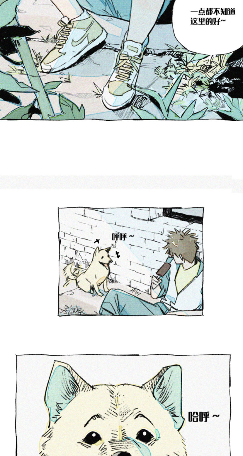 章节图片