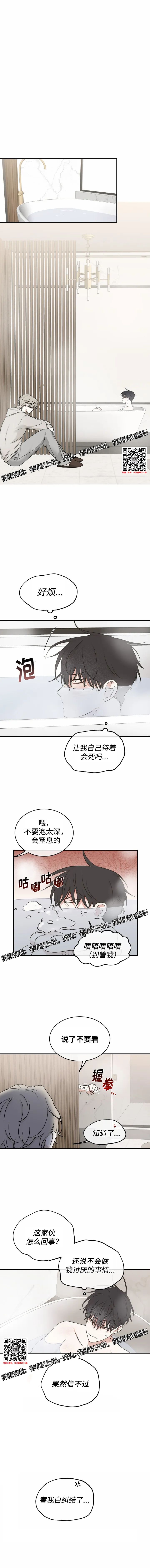 章节图片