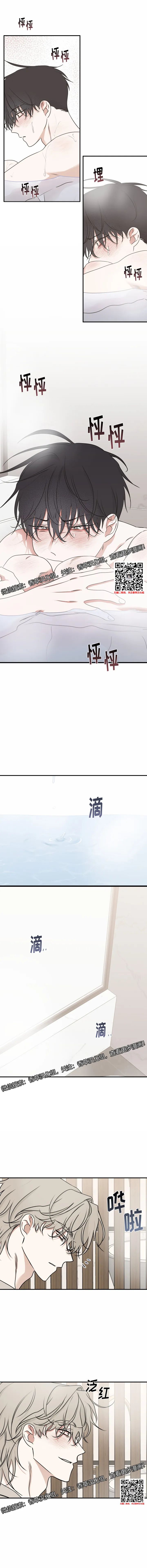 章节图片