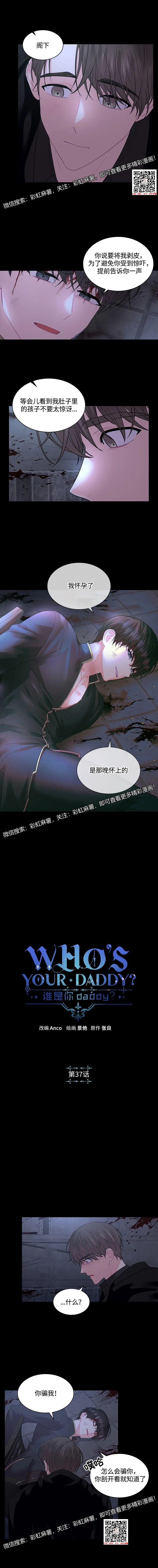 章节图片