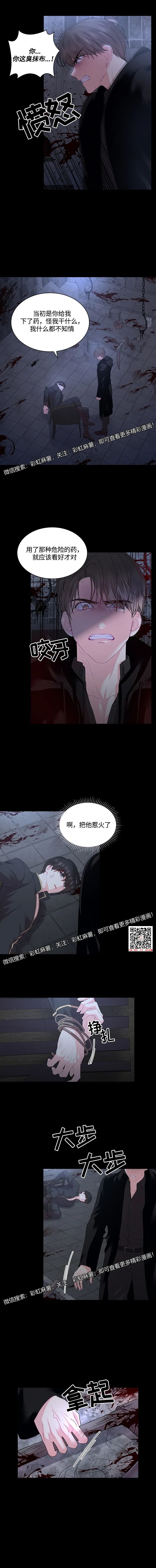 章节图片