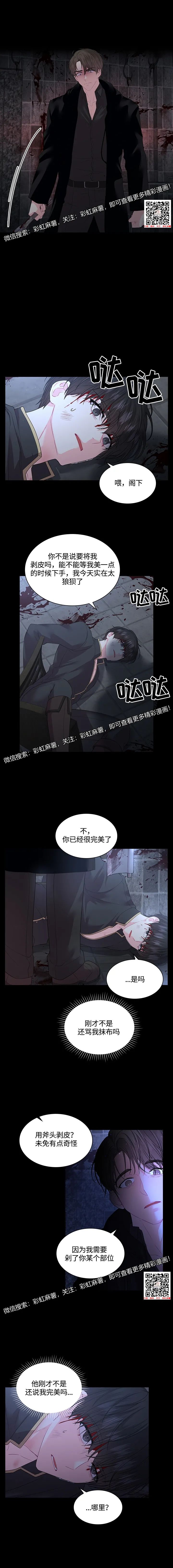 章节图片