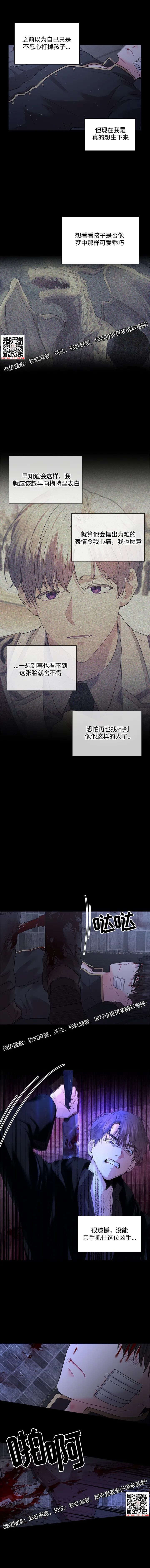 章节图片