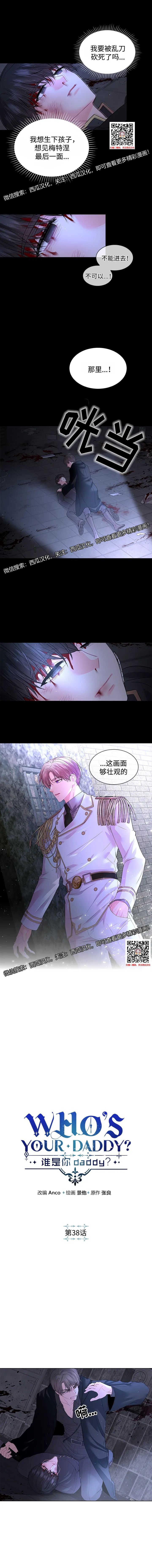章节图片