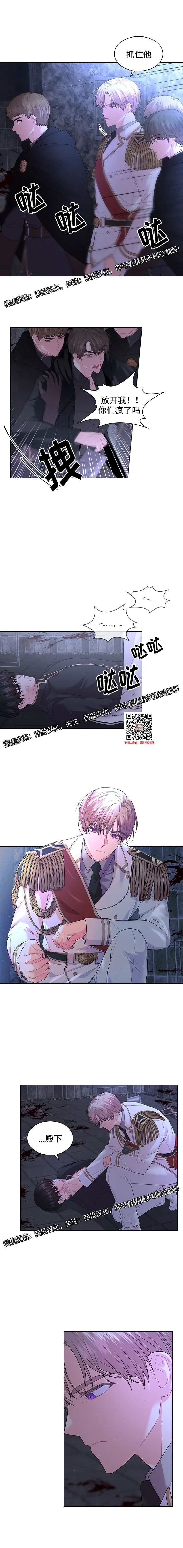 章节图片