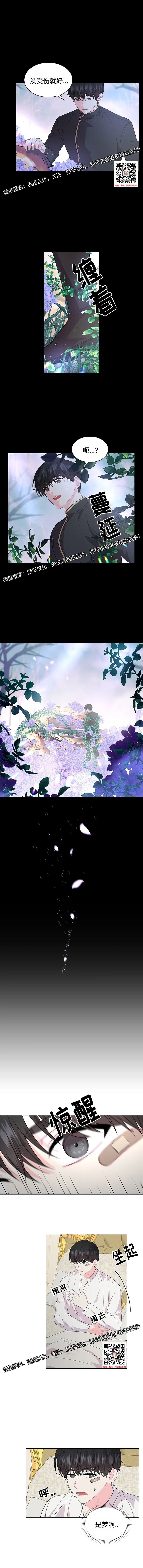 章节图片