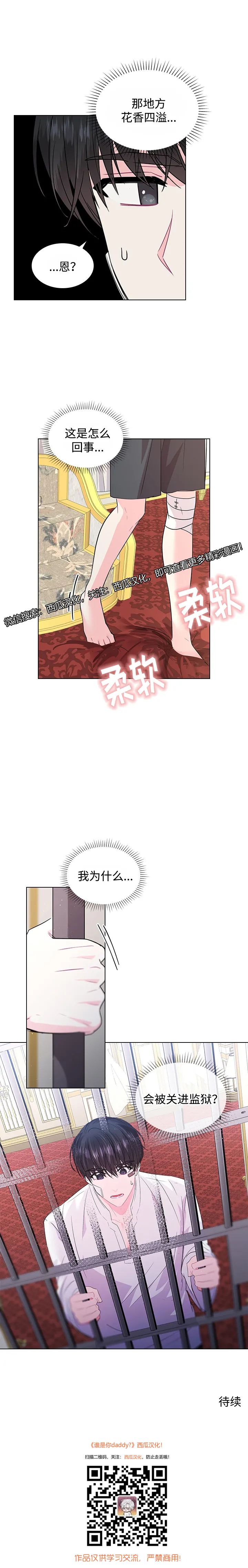 章节图片