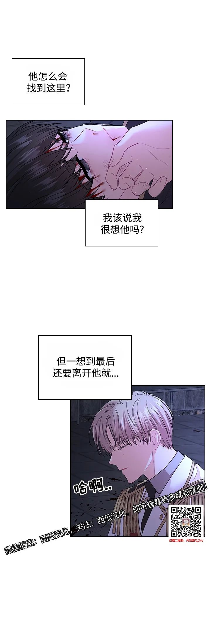 章节图片