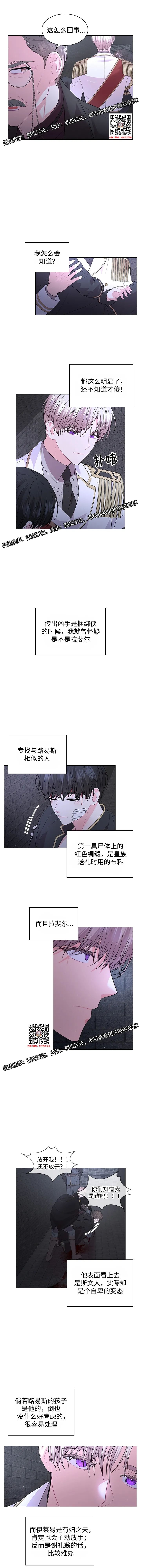 章节图片