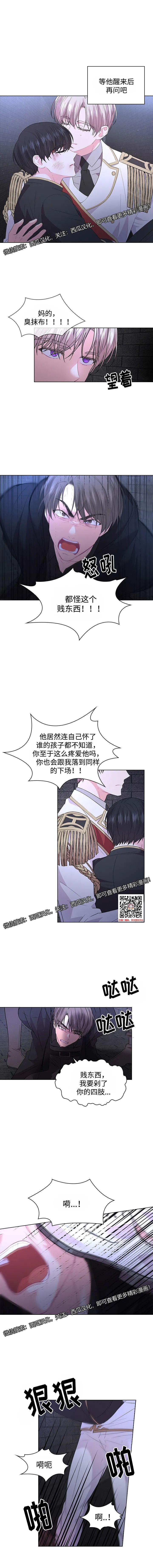 章节图片