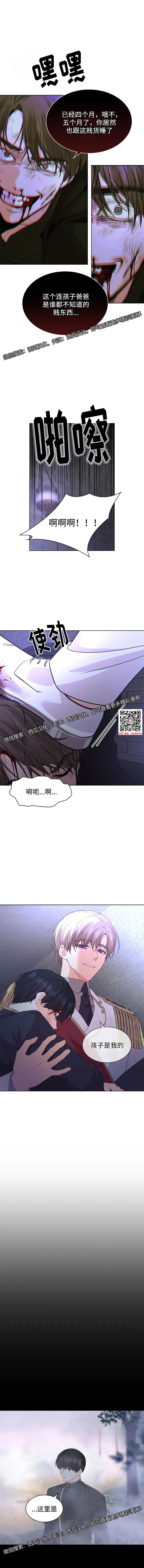章节图片