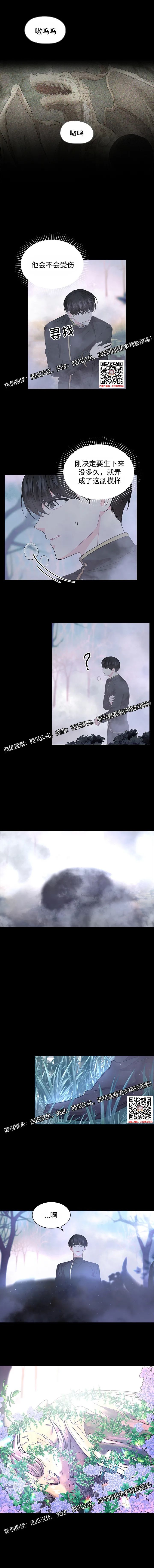 章节图片