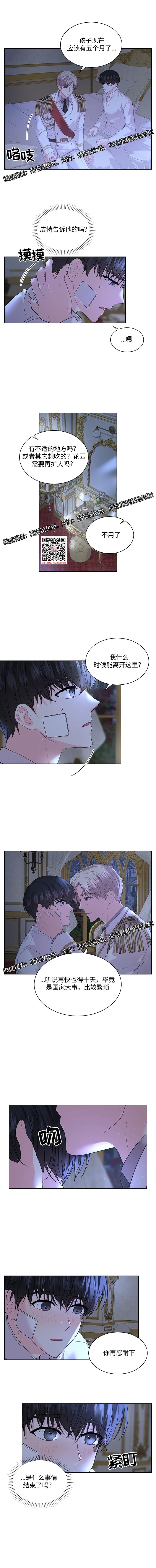 章节图片