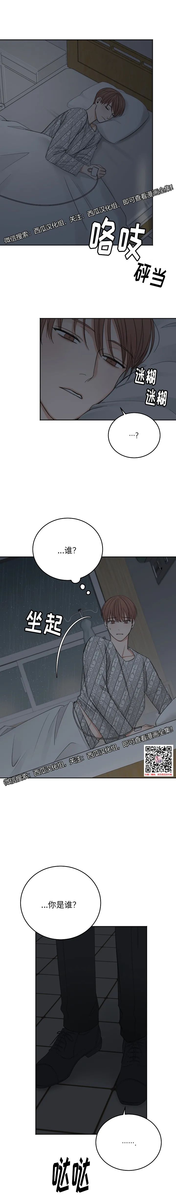 章节图片