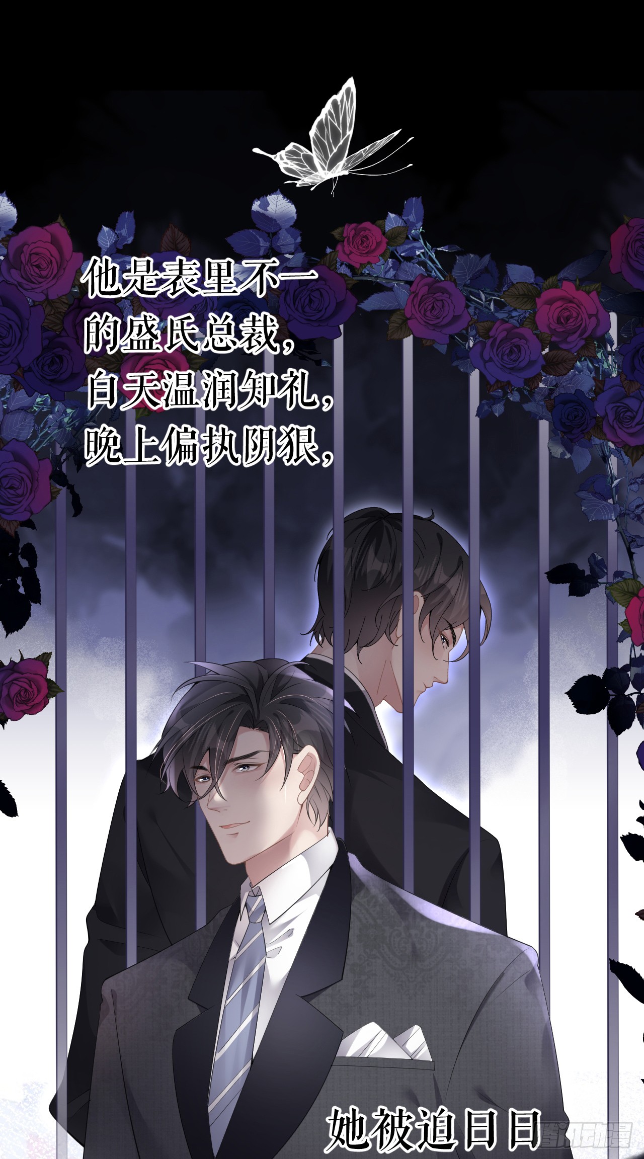 章节图片
