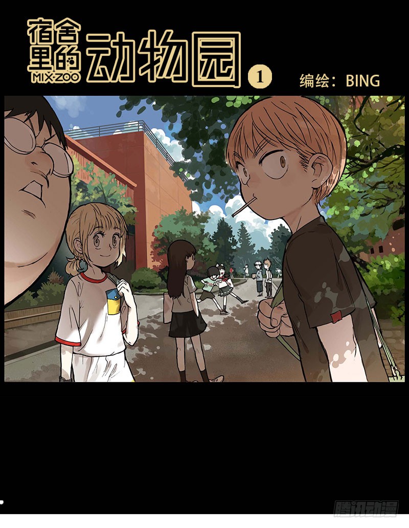 章节图片