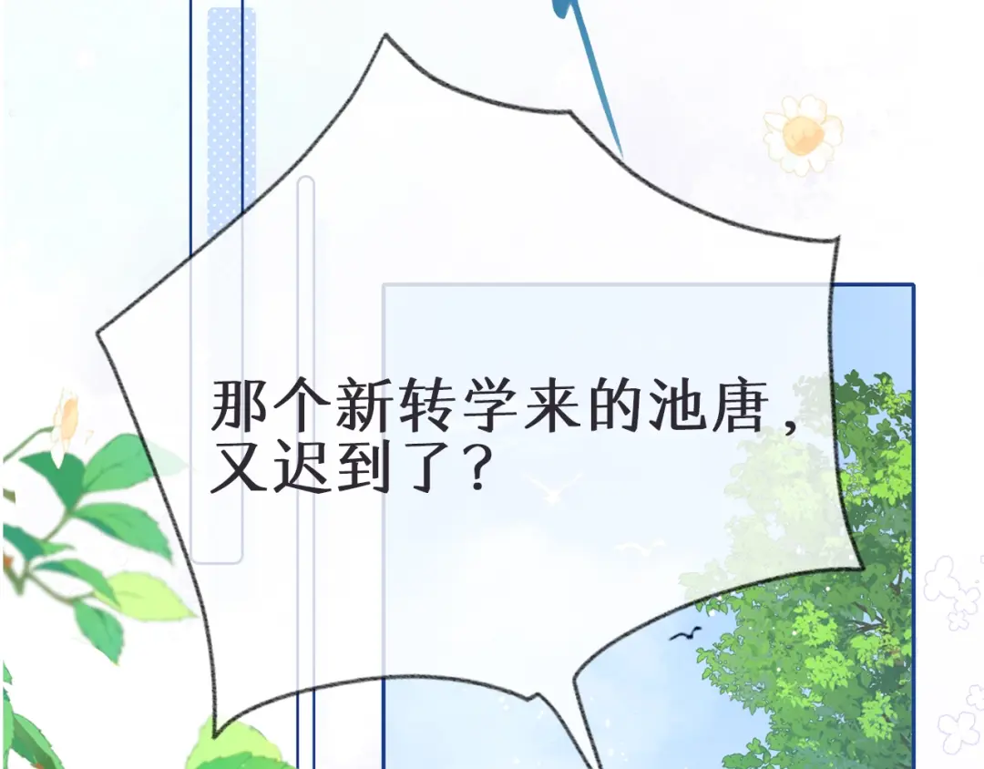 章节图片