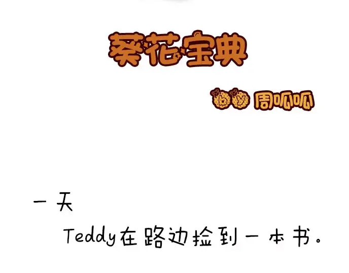 章节图片
