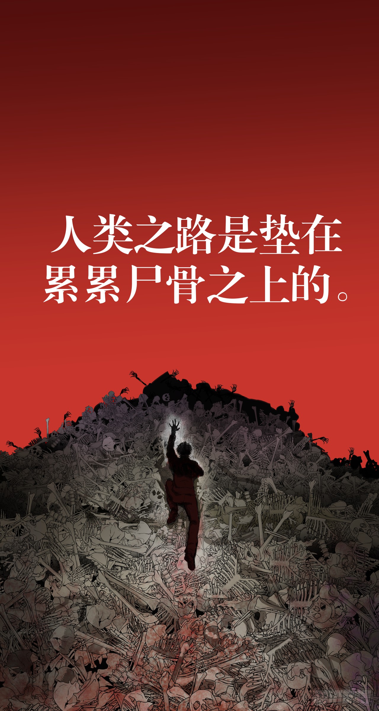 章节图片
