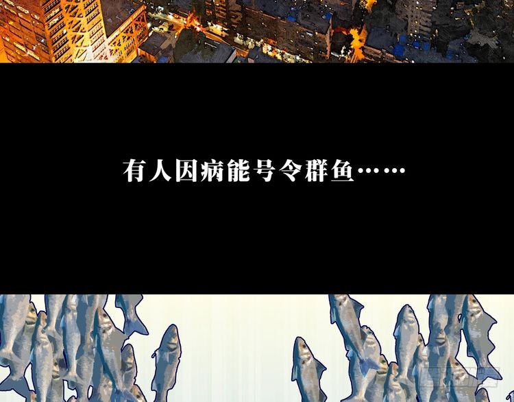 章节图片