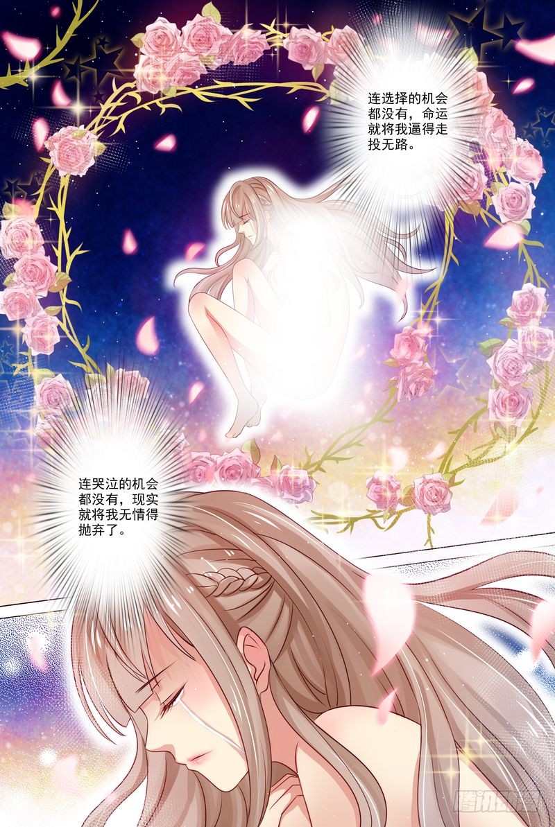 章节图片