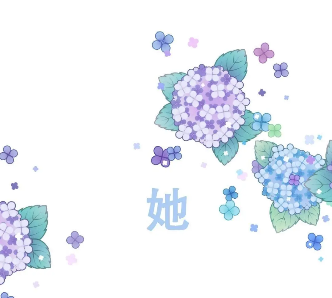 章节图片