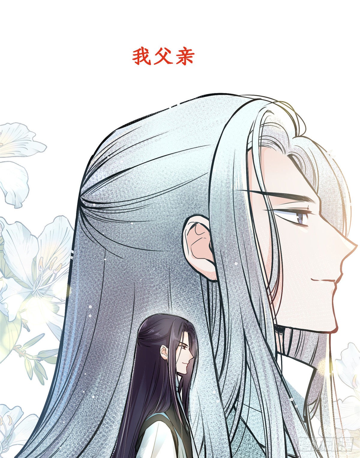 章节图片