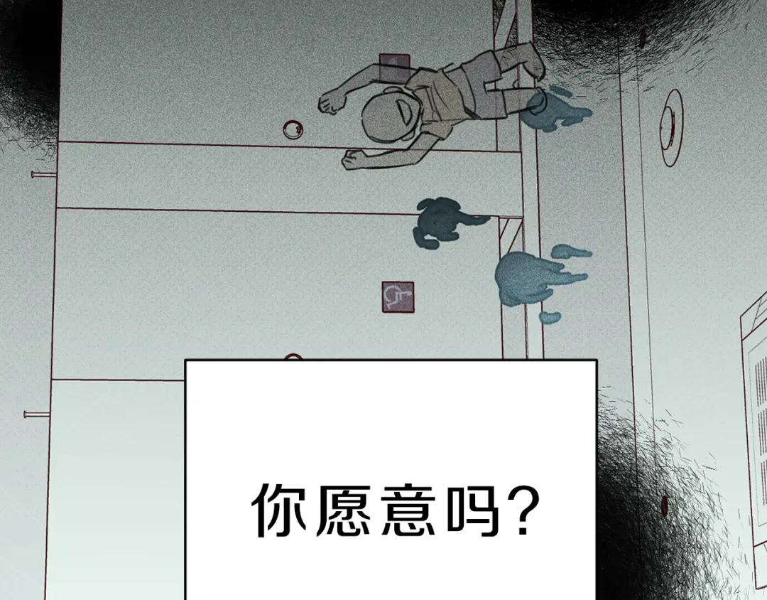 章节图片